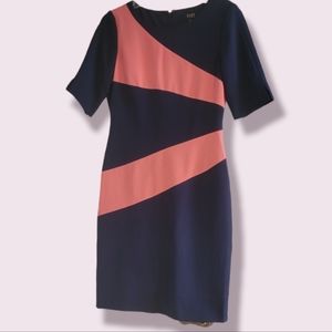 Alex Marie Women Career Formal Button Sheath Dress Blue & Pink, Size 4